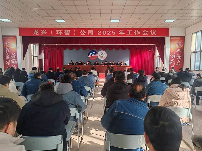 龙兴（leyu乐鱼online(中国)）公司召开2025年工作会议